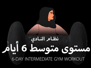 6-Day Intermediate GYM workout